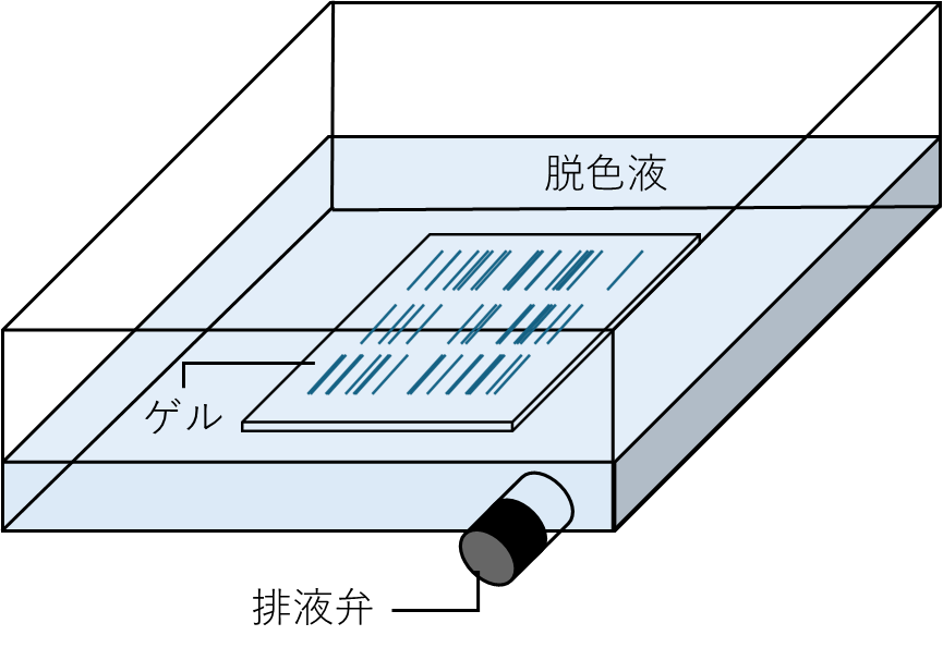 排液弁付きトレイ