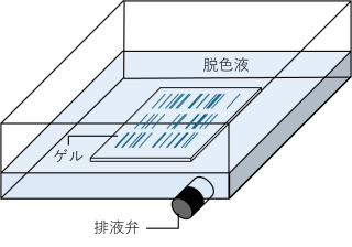 排液弁付きトレイ